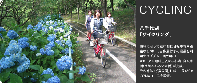 サイクリング