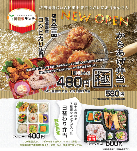 300513-hayamimi2