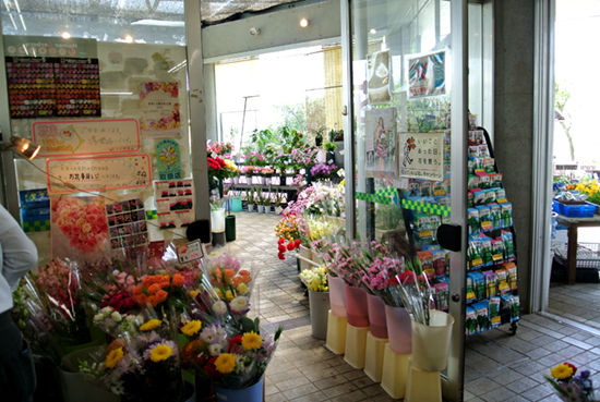 20161101_hayamimi6.jpg