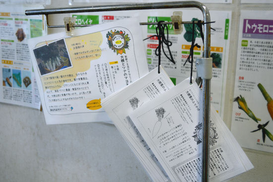 tenpo271115-16.jpg