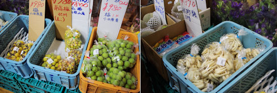 230608-6.tenpo.jpg
