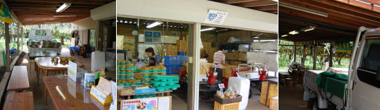 190917-8.nashi.jpg
