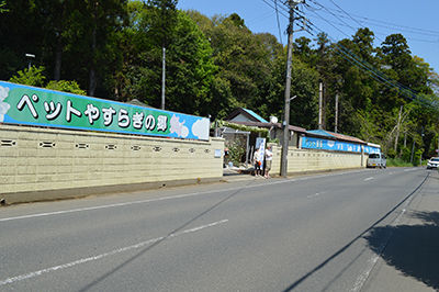 290930-nabiken6.jpg