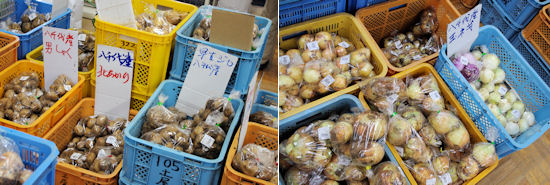 230608-8.tenpo.jpg