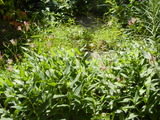 DSCN9918