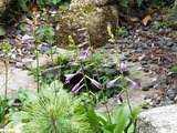 DSCF0866