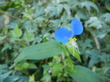 DSCN9924