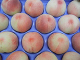DSCN9727
