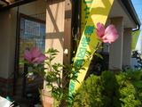 DSCN9714