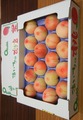 DSCN9726