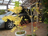 DSCN9723