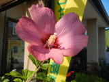 DSCN9717