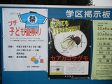 DSCN9762