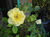 DSCN9948
