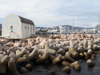 P9020737