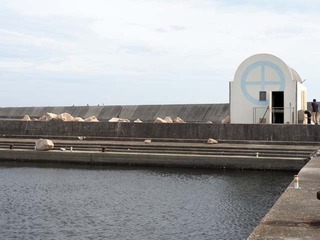 P9020733
