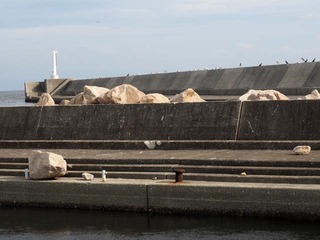 P9020740