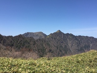IMG_2345