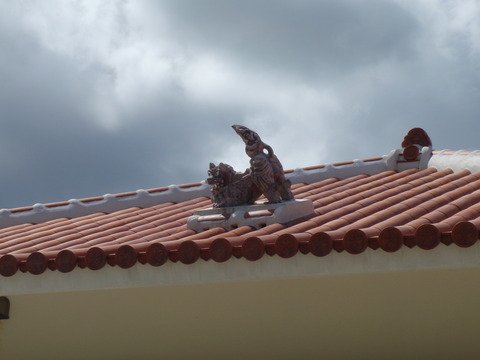 P7220230