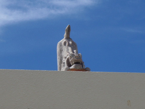 P7220238