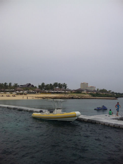 DVC00236