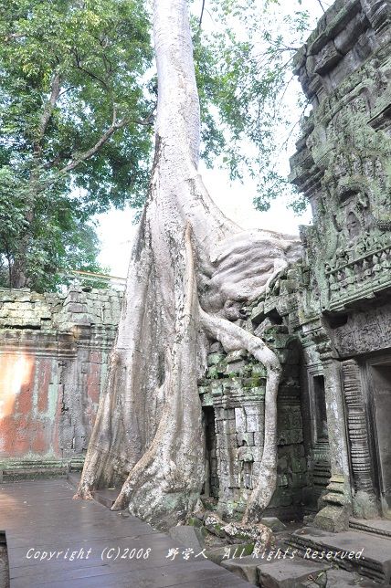 siemreap18158