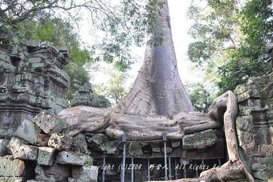 siemreap18157