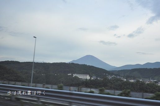 DSC_0002.jpg