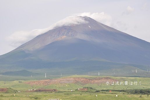 DSC_0006.jpg