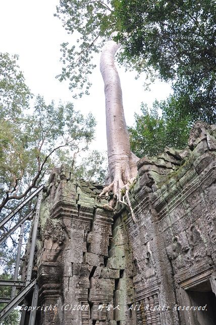 siemreap18155