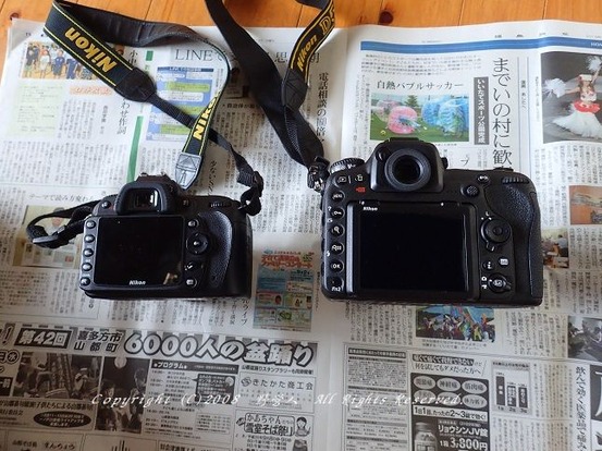 d90d50018802