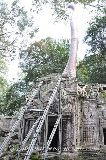 siemreap18156