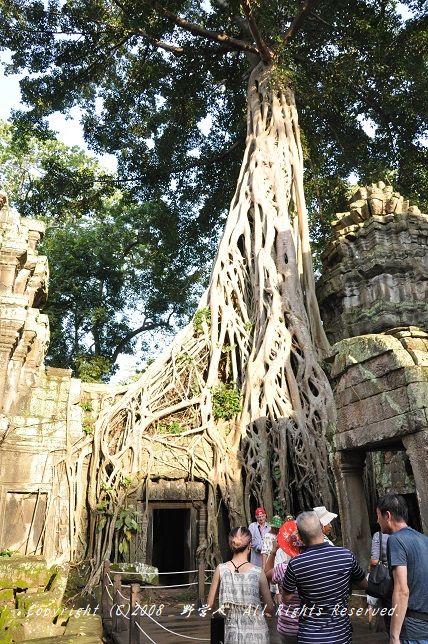 siemreap18159