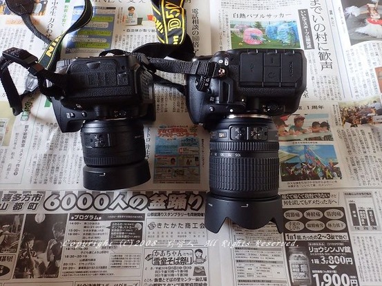 d90d50018801