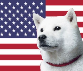 アメリカ放題ロゴ