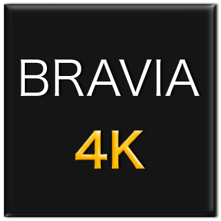 bravia2