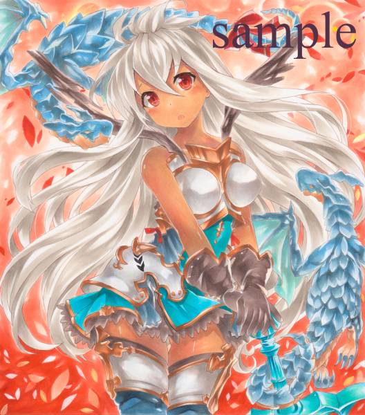 同人手描きイラスト グラブル ゾーイ 色紙☆