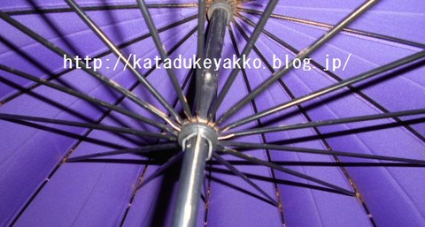 DSCN3774