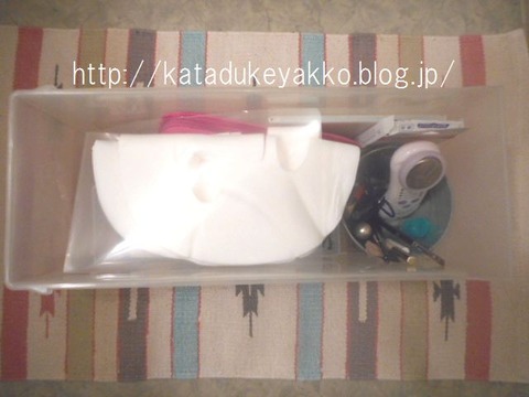 DSCN1254