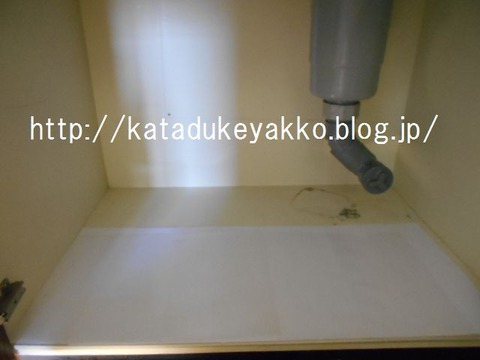 DSCN0541