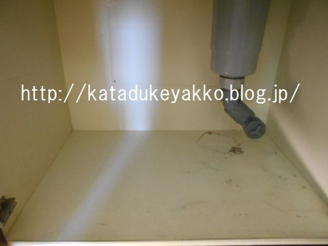 DSCN0539