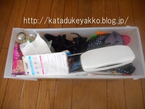 DSCN1252