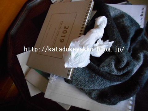 DSCN5003