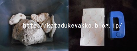 DSCN4859-1