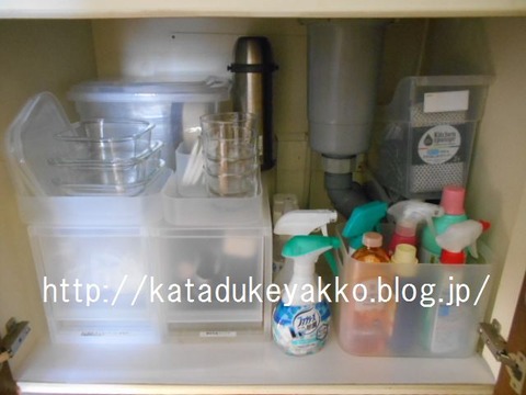 DSCN0544
