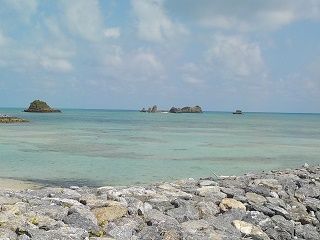 20160307クリーン浜2