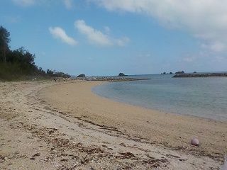 20160307クリーン浜1