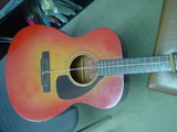 FG110RED