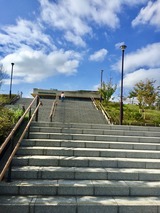 IMG_0843