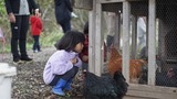IMG_1065